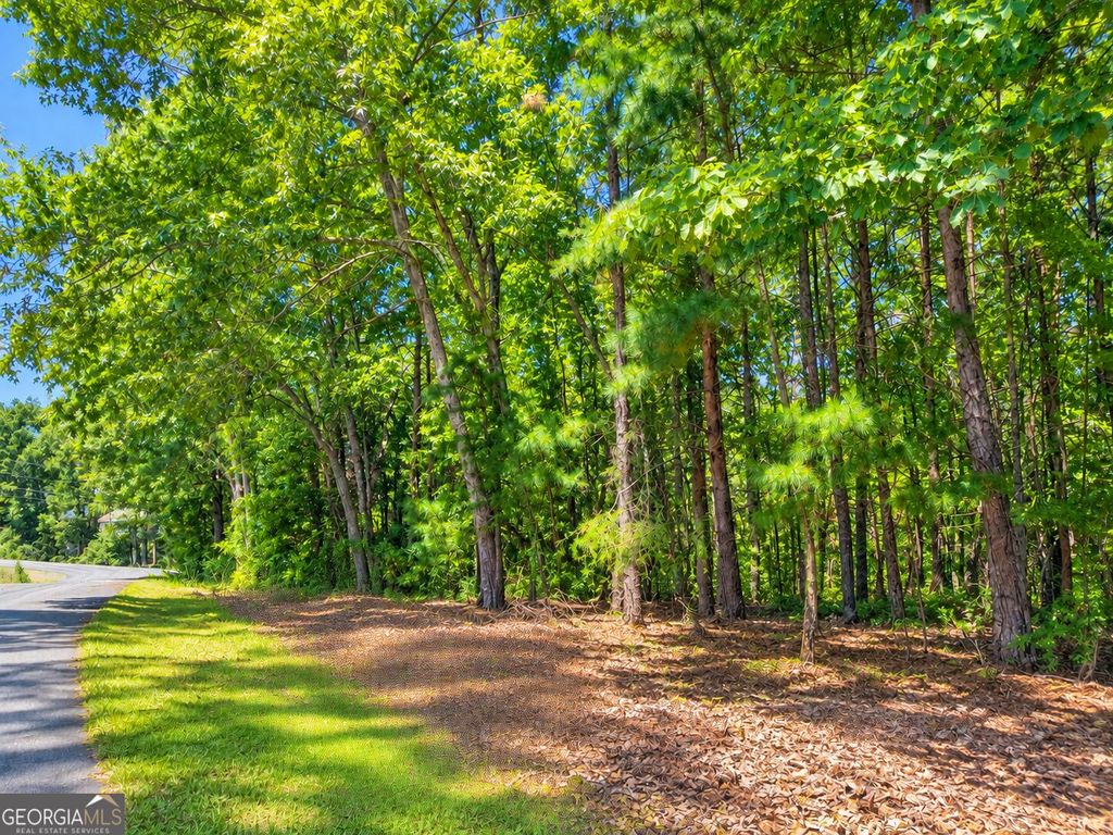 LOT 24 Oak Court, Toccoa, GA 30577 — exterior