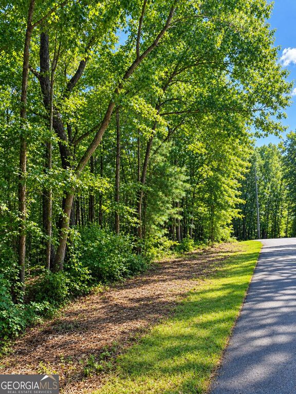 LOT 24 Oak Court, Toccoa, GA 30577 — photo 2