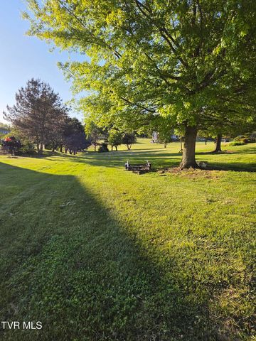 17289 Crabtree Court, Bristol, VA 24202