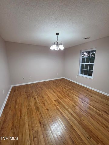 17289 Crabtree Court, Bristol, VA 24202