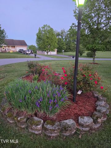 17289 Crabtree Court, Bristol, VA 24202