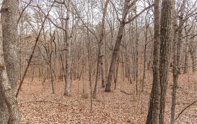 2 Mayo Ln, Potosi, MO 63664