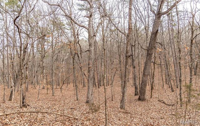 2 Mayo Ln, Potosi, MO 63664