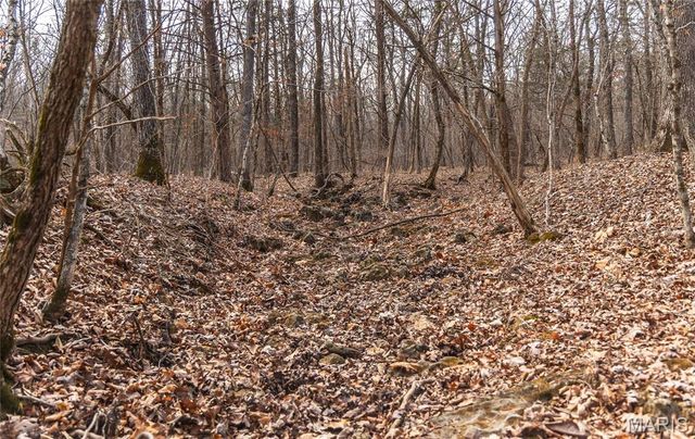 2 Mayo Ln, Potosi, MO 63664