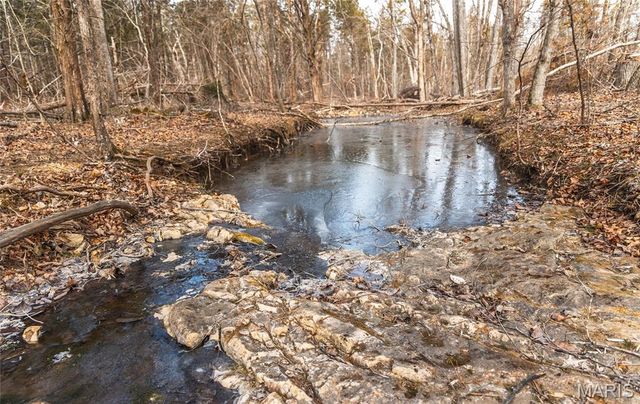 2 Mayo Ln, Potosi, MO 63664