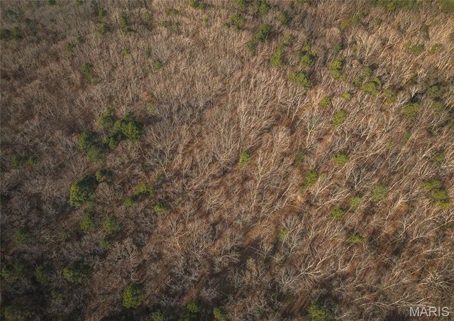 2 Mayo Ln, Potosi, MO 63664