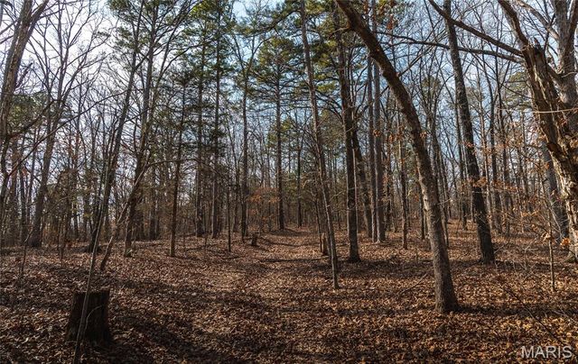 2 Mayo Ln, Potosi, MO 63664