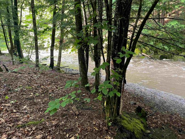 466 Estey Lane, Windsor, VT 05089