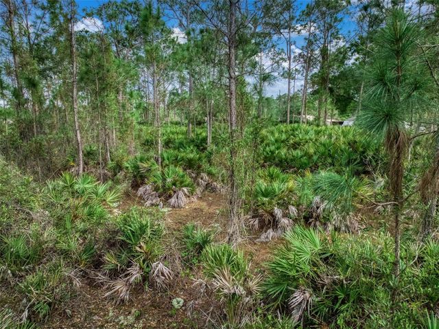 4814 LAKEWOOD ROAD, Sebring, FL 33875