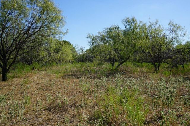 TBD 1 Cr 236a, Milano, TX 76556