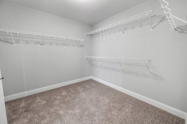 117 Blackthorn Drive, Nicholasville, KY 40356