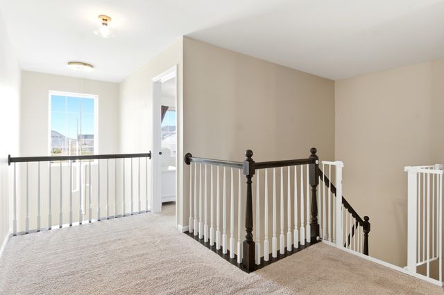 12610 S Cherry Blossom Boulevard, Plainfield, IL 60585