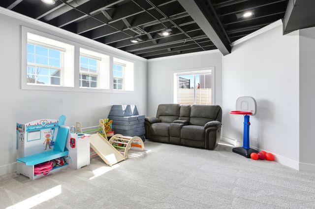 12610 S Cherry Blossom Boulevard, Plainfield, IL 60585