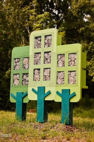 68 Wandering Way, Pittsboro, NC 27312