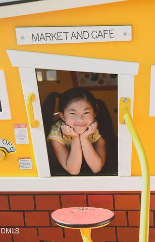 68 Wandering Way, Pittsboro, NC 27312