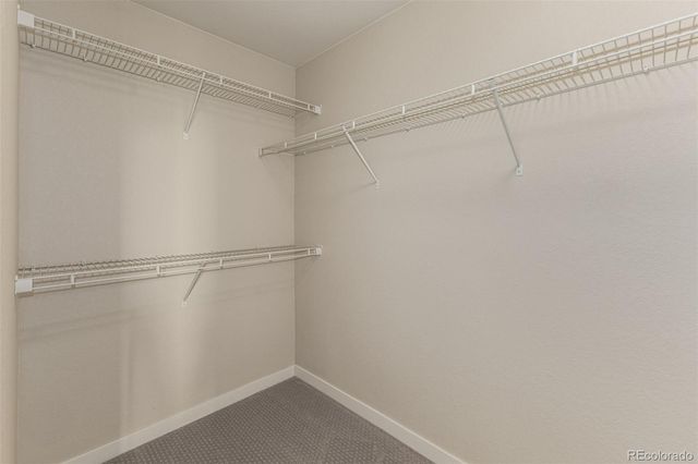 9015 E 49th Place, Denver, CO 80238