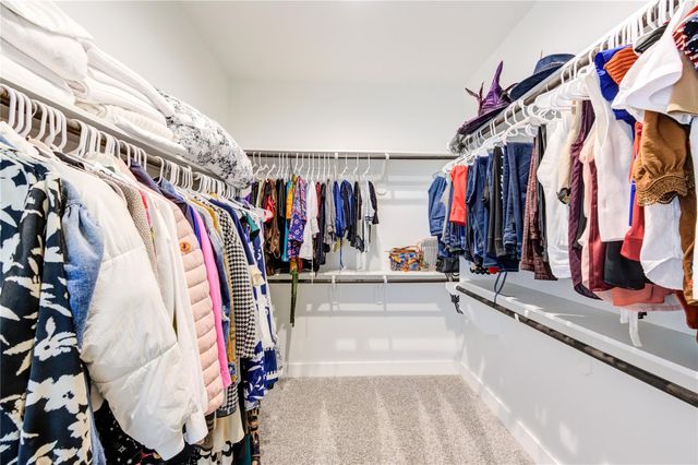 10636 Wild Chives, Conroe, TX 77385