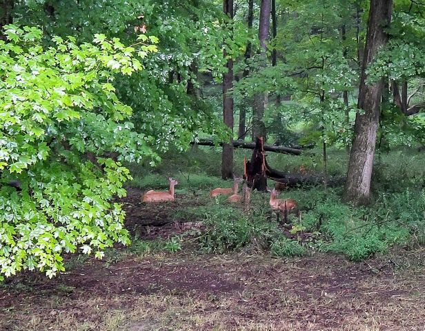 1550 Welsh Hills Road NE, Granville, OH 43023