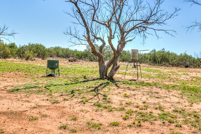 2230 Farm-to-market 2662, Bronte, TX 76933