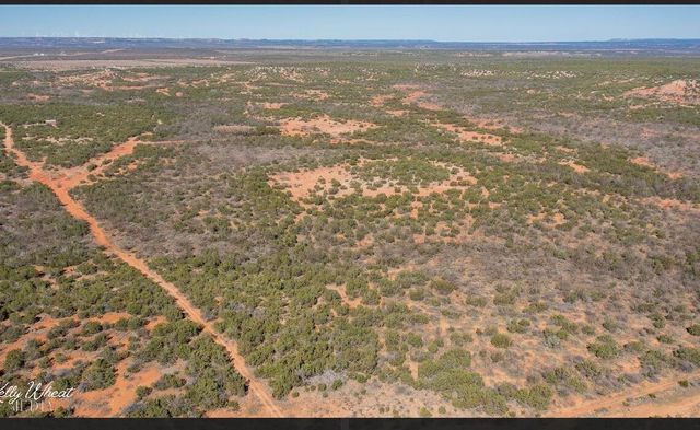 2230 Farm-to-market 2662, Bronte, TX 76933