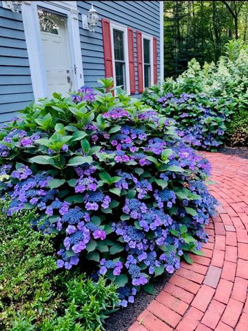 6 Abbey Road, Bow, NH 03304