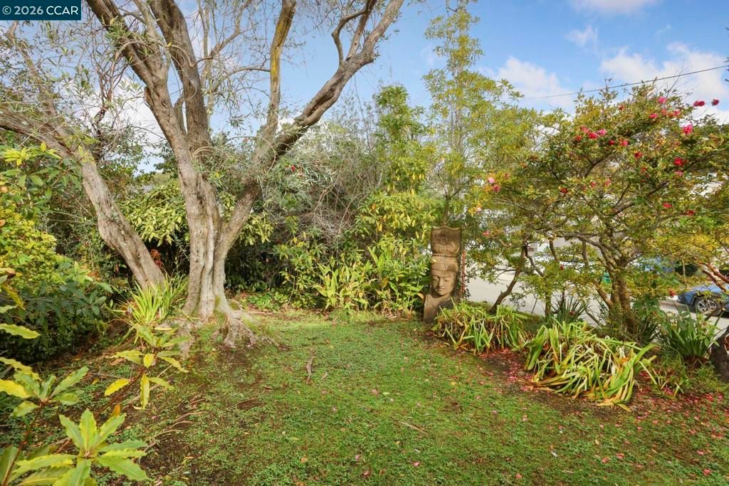 Image 8 of property listing at 204 El Camino Real, Berkeley, CA 94705