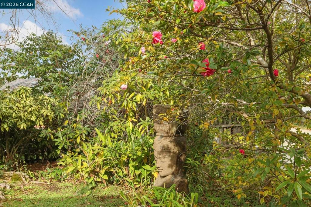 Image 9 of property listing at 204 El Camino Real, Berkeley, CA 94705