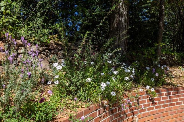 391 Mountain Home Road, Woodside, CA 94062