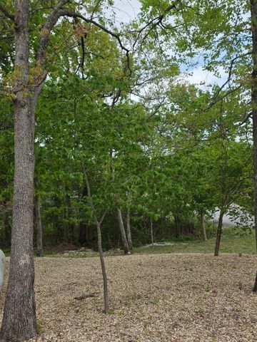 130 Pine Woods Village Drive, Hollister, MO 65672
