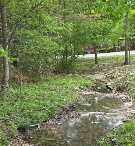 130 Pine Woods Village Drive, Hollister, MO 65672