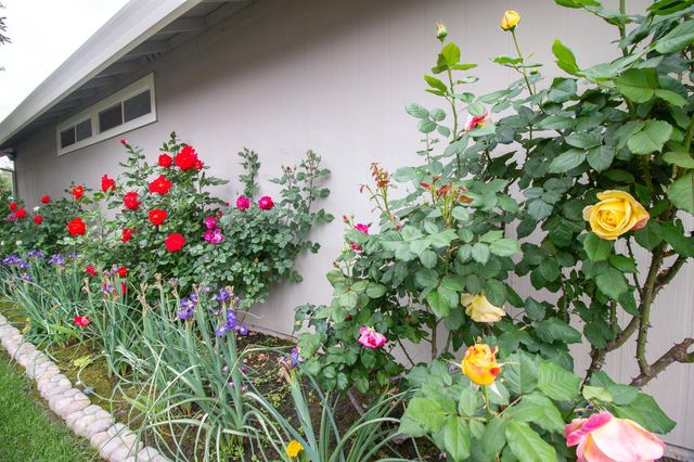 1 Pinache Ct, Sacramento, CA 95838