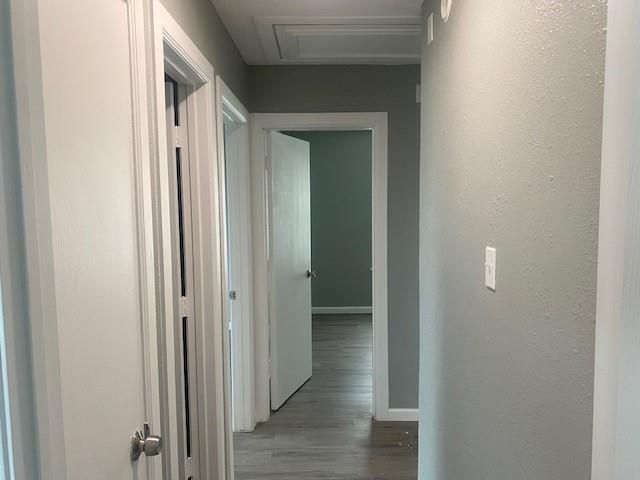 19110 Yellow Thrush Drive, Cypress, TX 77433