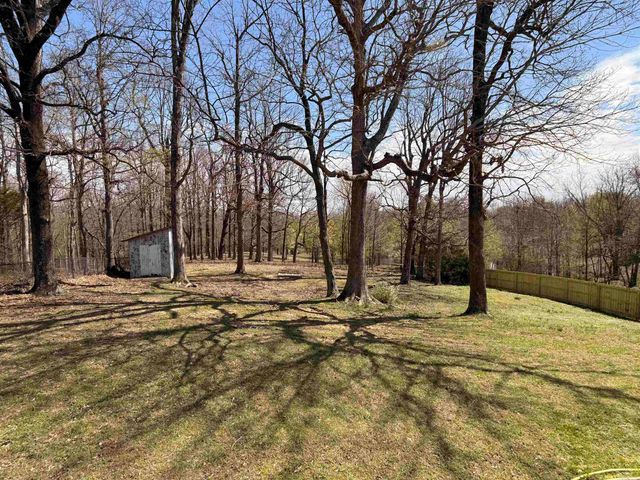 1393 N 4th Avenue, Piggott, AR 72454