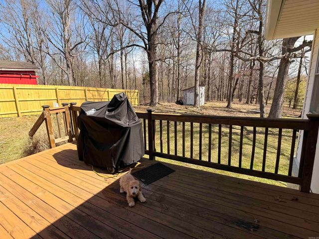 1393 N 4th Avenue, Piggott, AR 72454