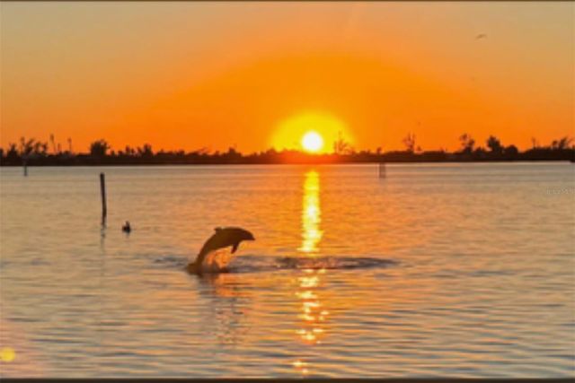 11000 PLACIDA ROAD 1601, Placida, FL 33946