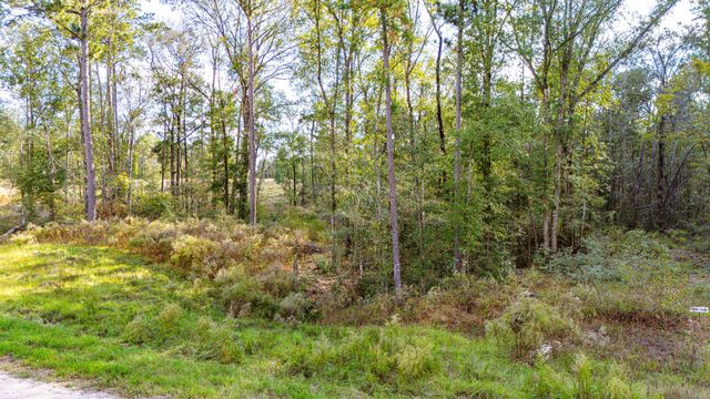 922 Rolling Pines Drive, Livingston, TX 77351