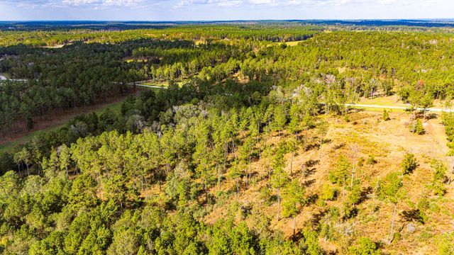 922 Rolling Pines Drive, Livingston, TX 77351