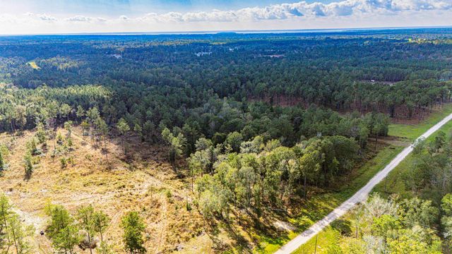 922 Rolling Pines Drive, Livingston, TX 77351