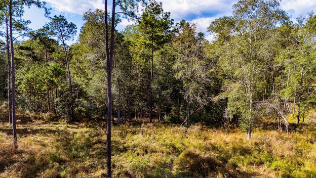 922 Rolling Pines Drive, Livingston, TX 77351