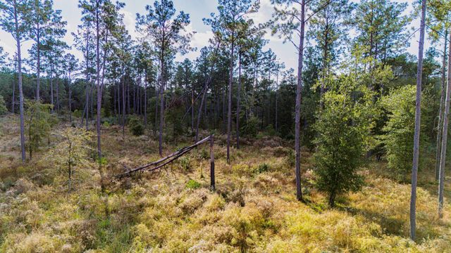 922 Rolling Pines Drive, Livingston, TX 77351