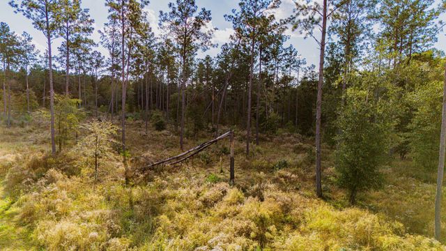 922 Rolling Pines Drive, Livingston, TX 77351