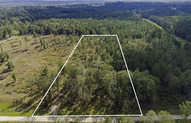 922 Rolling Pines Drive, Livingston, TX 77351