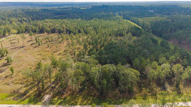 922 Rolling Pines Drive, Livingston, TX 77351