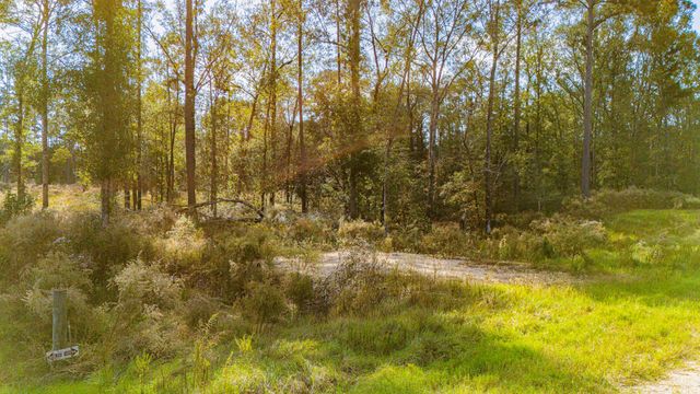 922 Rolling Pines Drive, Livingston, TX 77351