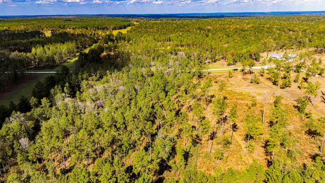 922 Rolling Pines Drive, Livingston, TX 77351