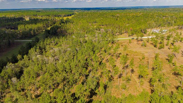 922 Rolling Pines Drive, Livingston, TX 77351