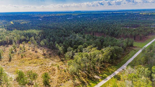 922 Rolling Pines Drive, Livingston, TX 77351