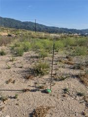 0 2833028006, Newhall, CA 91321