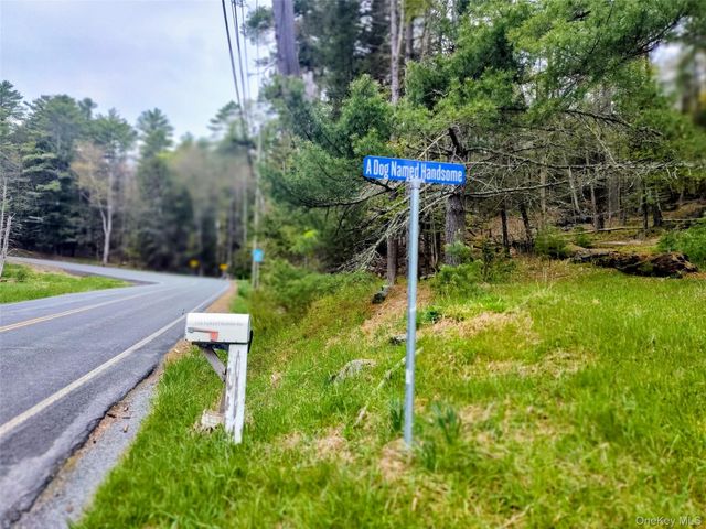 174 Forestburgh Road, Forestburgh, NY 12777