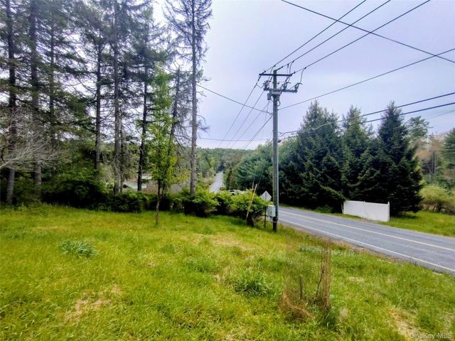 174 Forestburgh Road, Forestburgh, NY 12777
